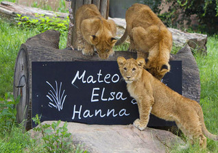 Zoo Erlebnis Zoo Erlebnis