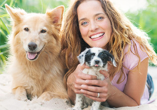  ZS Hundetraining Kate 