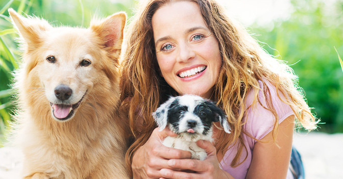 ZS Hundetraining mit Kate   ZS Hundetraining mit Kate