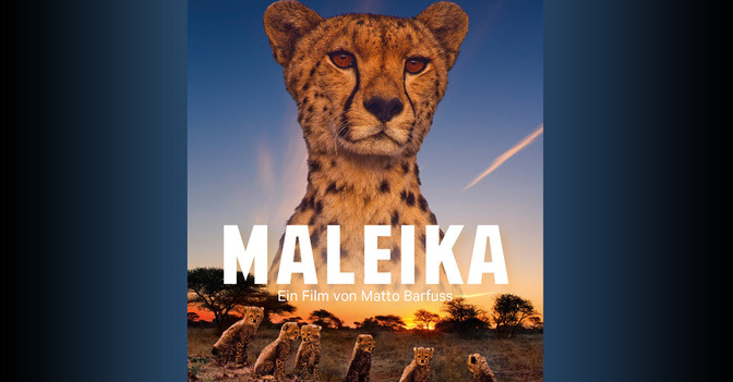 Zur Maleika Premiere   Zur Maleika Premiere