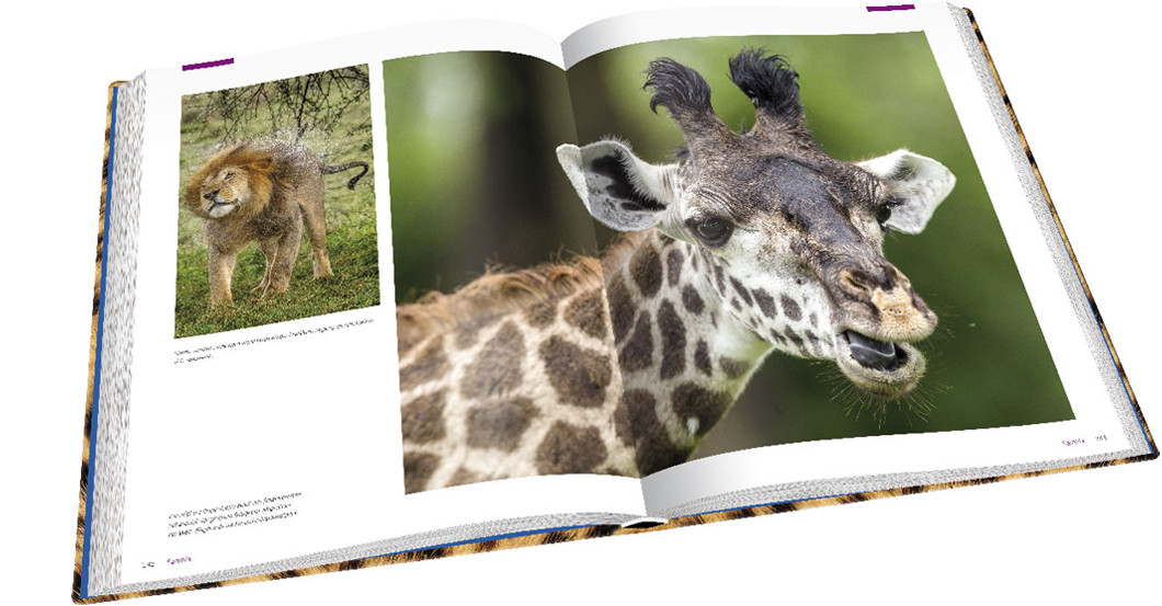  Zwei Nächte Namibia 