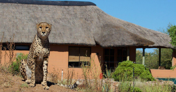  Zwei Nächte Namibia 