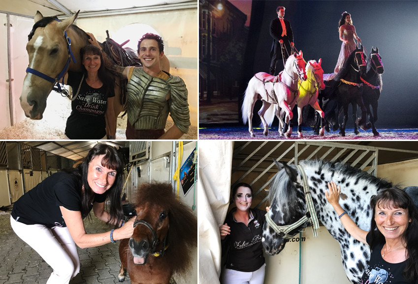Met the Animal Stars of Apassionata very closely Met the Animal Stars of Apassionata very closely