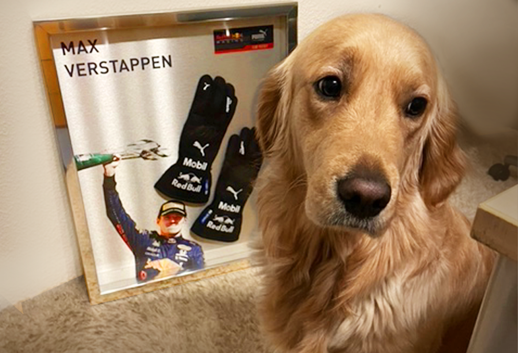 Verstappens Weltmeister-Handschuhe haben einen neuen Besitzer Verstappens Weltmeister-Handschuhe haben einen neuen Besitzer