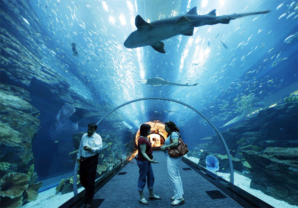  Urlaub im Rekord-Hotel 