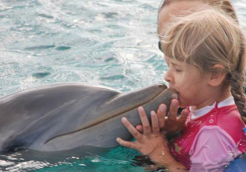 Ill children shall learn more quickly and with more intensity with the help of dolphins Ill children shall learn more quickly and with more intensity with the help of dolphins