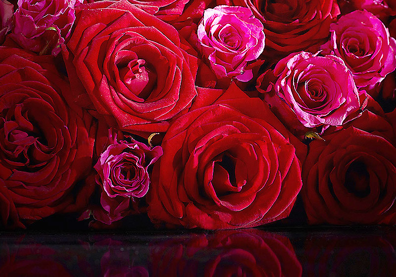  Rosenherz Valentinstag 