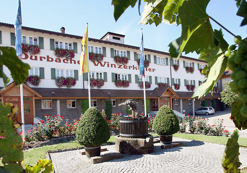 Der goldene badische Tropfen kommt aus der Winzergenossenschaft in Durbach