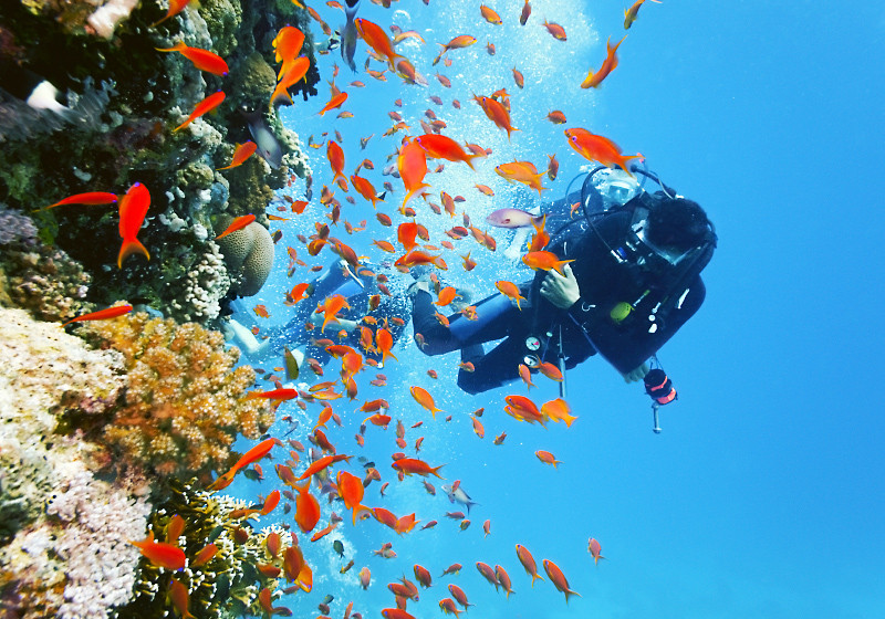  Schatzsuche Mosambik 