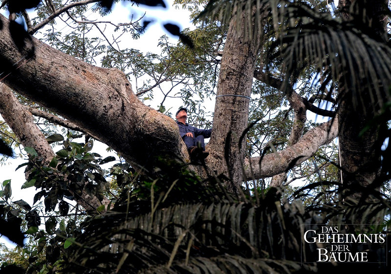 Filmbanner signiert von Luc Jacquet 