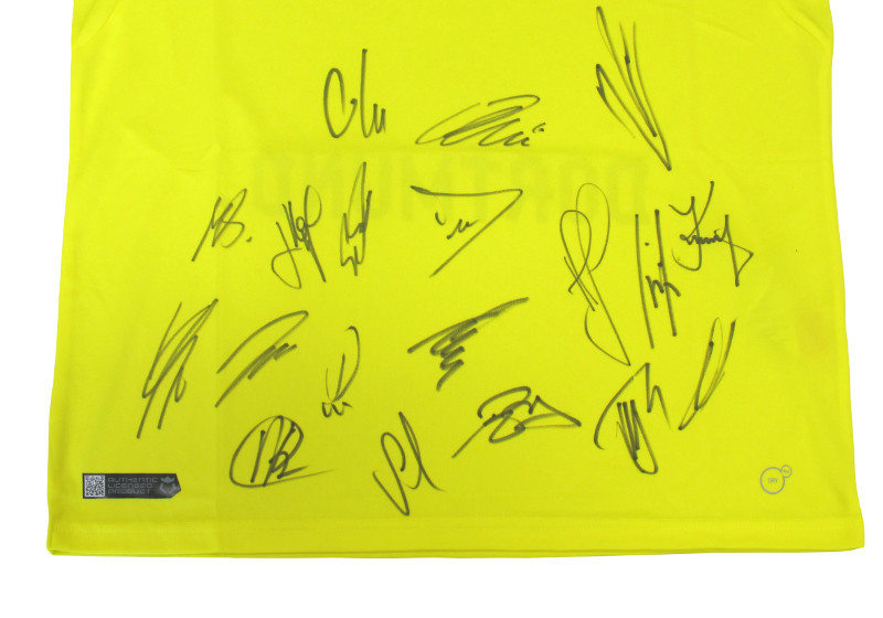  Sondertrikot des BVB 