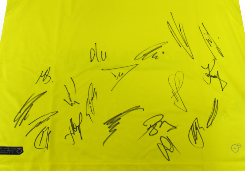  Sondertrikot des BVB 