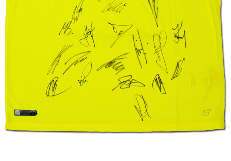  Sondertrikot des BVB 