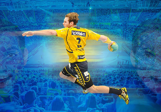  VIP Rhein Neckar Löwen 