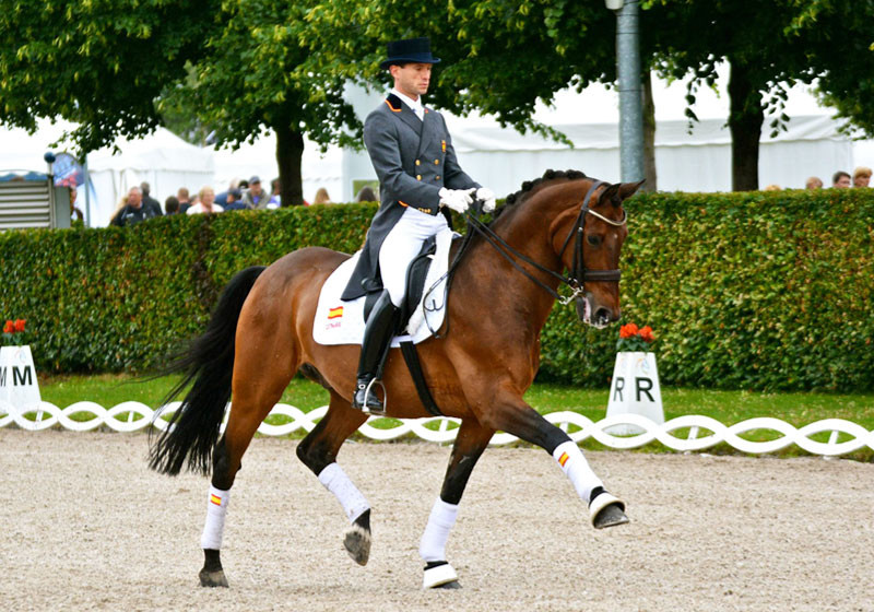  CHIO Aachen 2014 