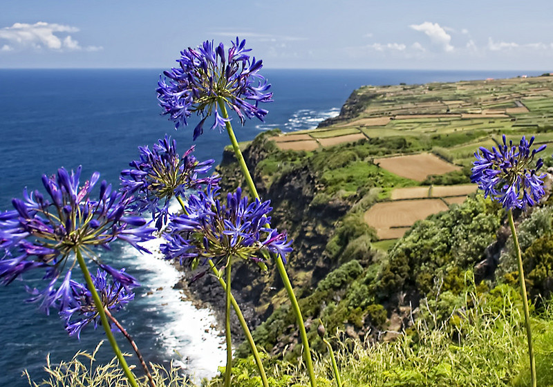  Segeltörn auf den Azoren 