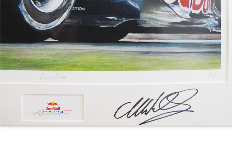  Bild Mark Webber 