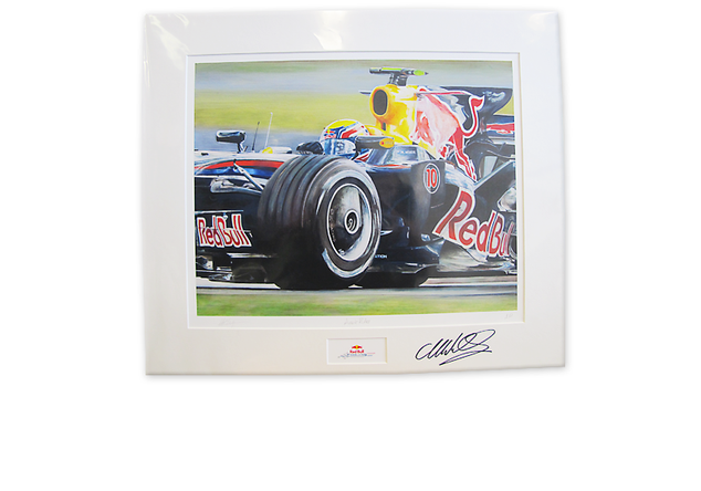  Bild Mark Webber 