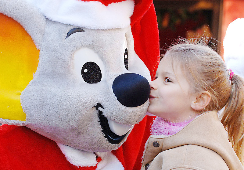  Europa Park-Erlebnis 