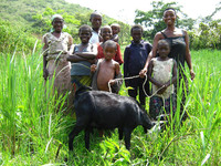 Glückliche Familie mit ihrer Ziege