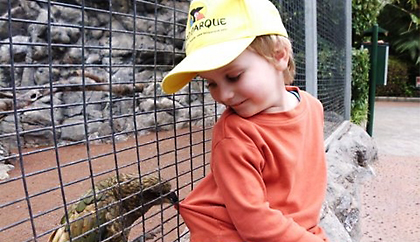 Lars im Loro Park auf Teneriffa