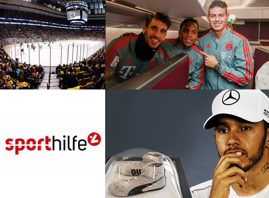 Österreichische Sporthilfe