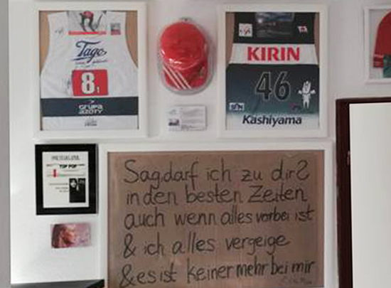 Eine Wand für dolphin aid