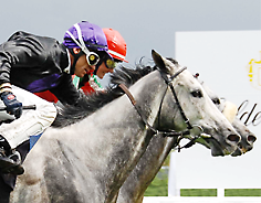 Auktionsempfehlungen