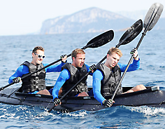 Auktionsempfehlungen