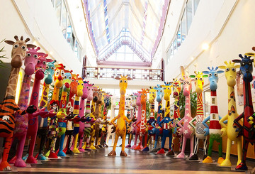 Alle 30 Giraffen der Großstadtsafari Alle 30 Giraffen der Großstadtsafari