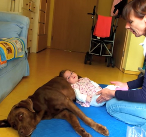 Fellige Freundin für schwerstkranke Kinder Fellige Freundin für schwerstkranke Kinder