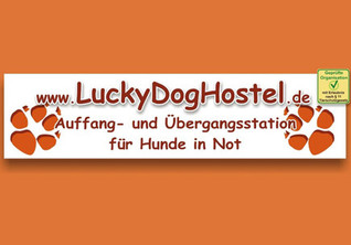 Lucky Dog Hostel Lucky Dog Hostel
