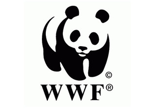 WWF   WWF