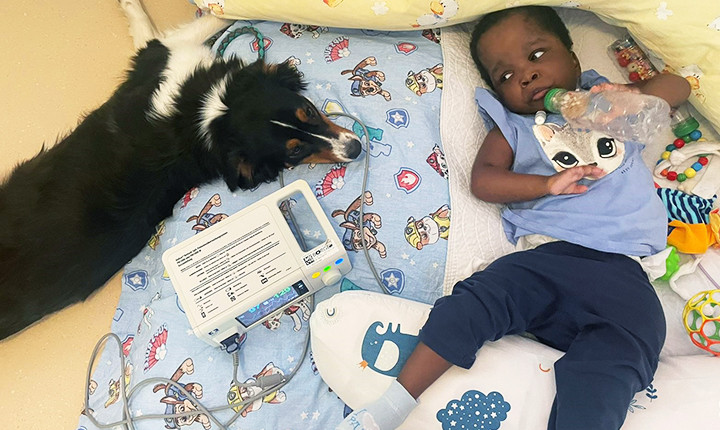 Ein Therapiehund für die ZWERG NASE-Kinder