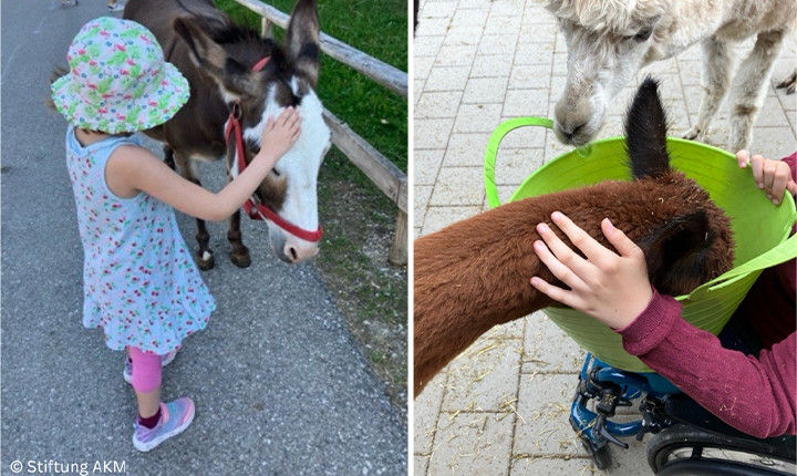 Tierische Momente, die Herzen erwärmen!