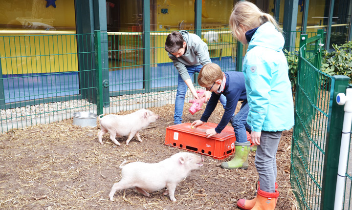 Tierische Mitarbeiter