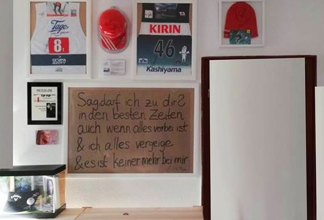 Eine ganze Wand für dolphin aid