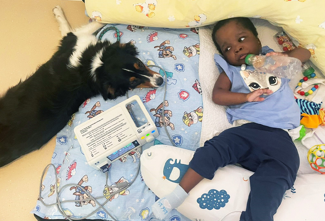 Ein Therapiehund für die ZWERG NASE-Kinder! Ein Therapiehund für die ZWERG NASE-Kinder!