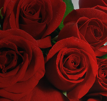 We celebrate Valentine's Day all Year long